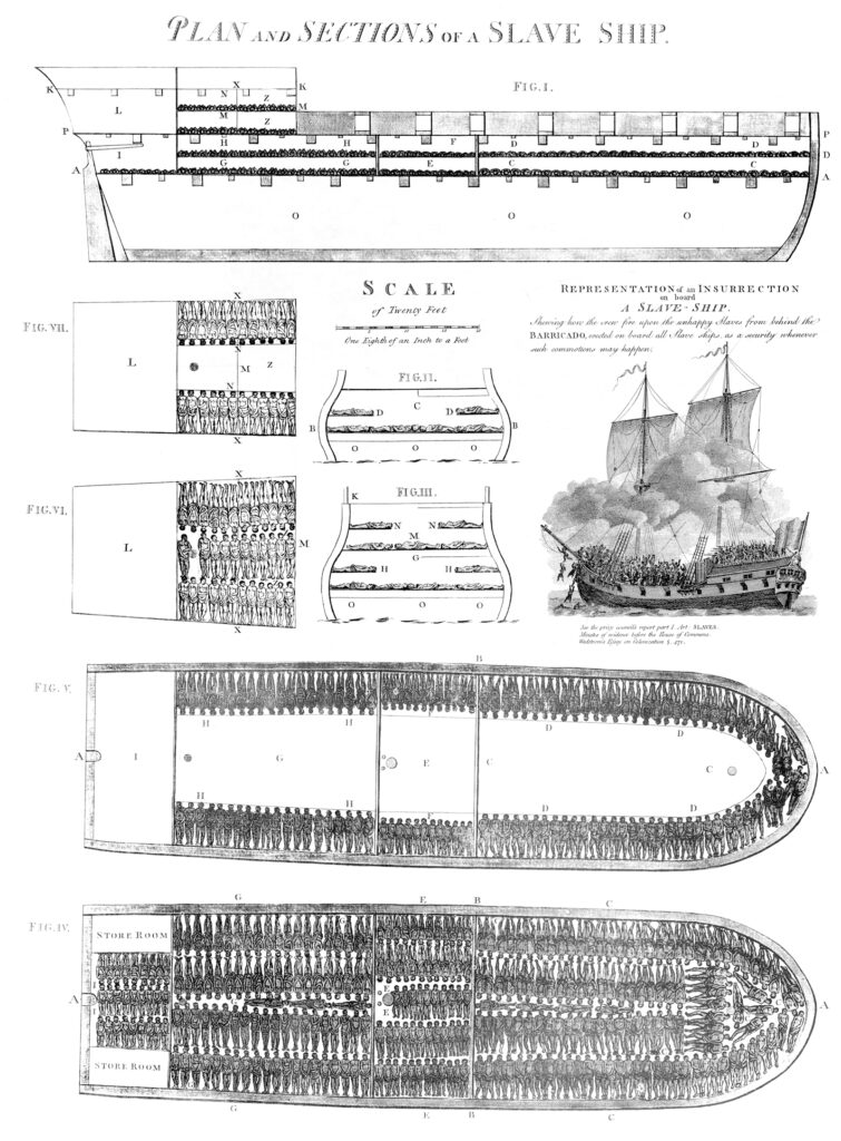 Plans and Sections of a Slave Ship